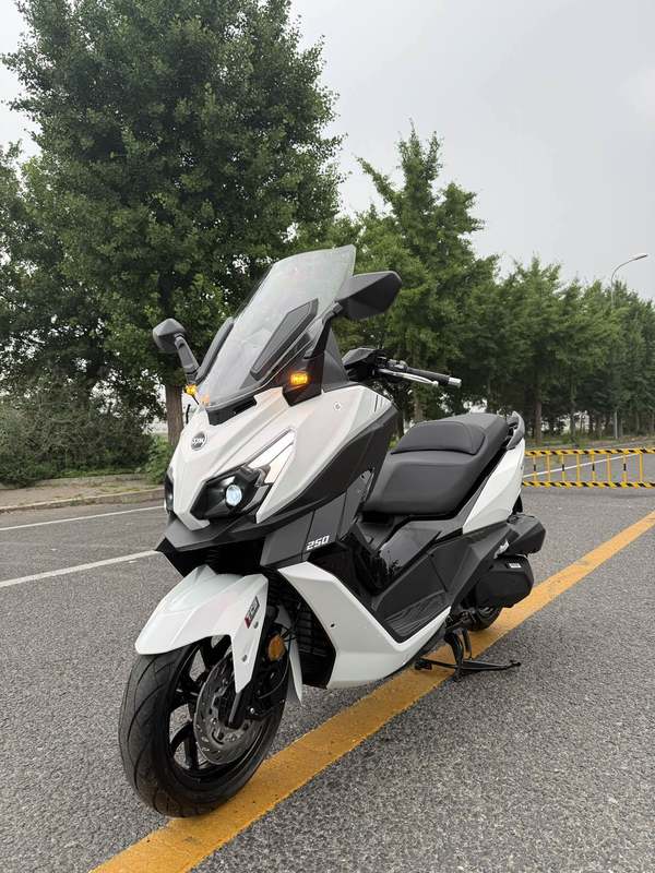 二手三阳巡弋 Cruisym250