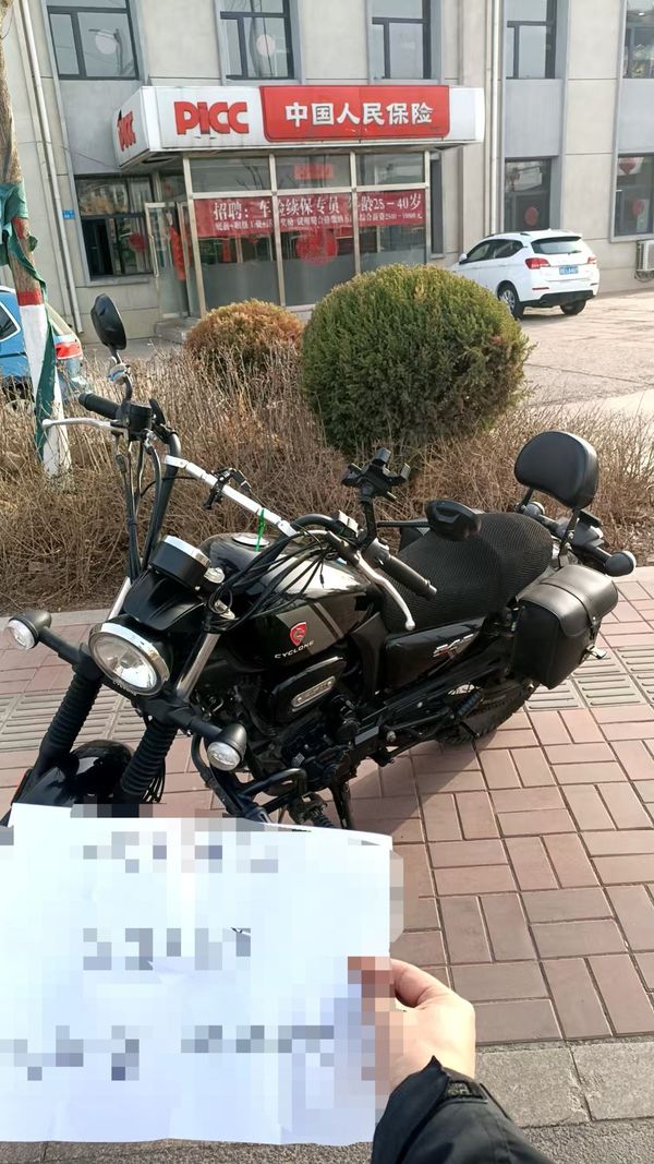 二手赛科龙RE250