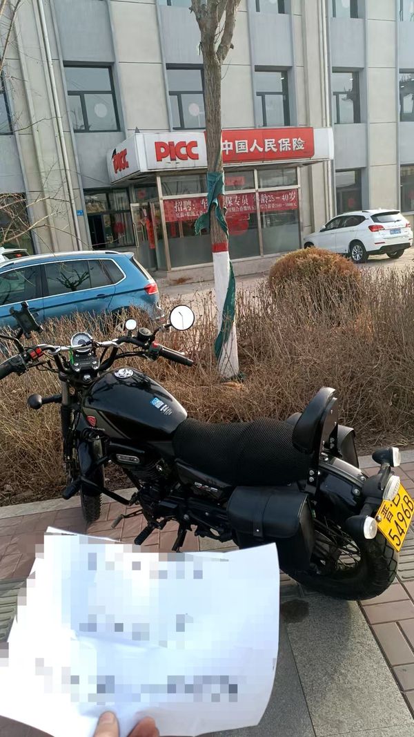 二手赛科龙RE250