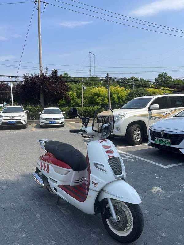 二手南方梦拉丽莎 飞戈