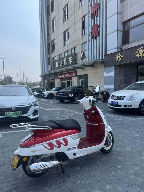 二手南方梦拉丽莎 飞戈