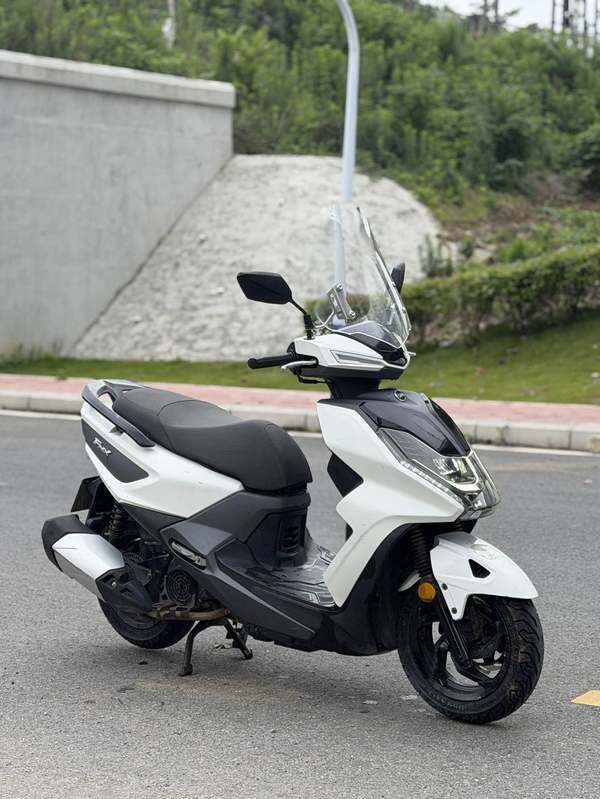 二手三阳FNX150