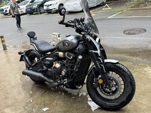二手赛科龙RA600