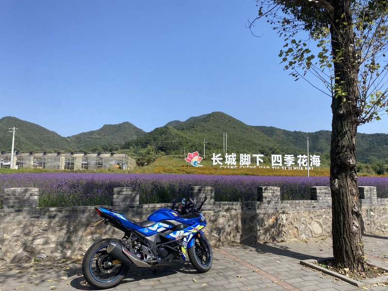 二手豪爵铃木GSX250R