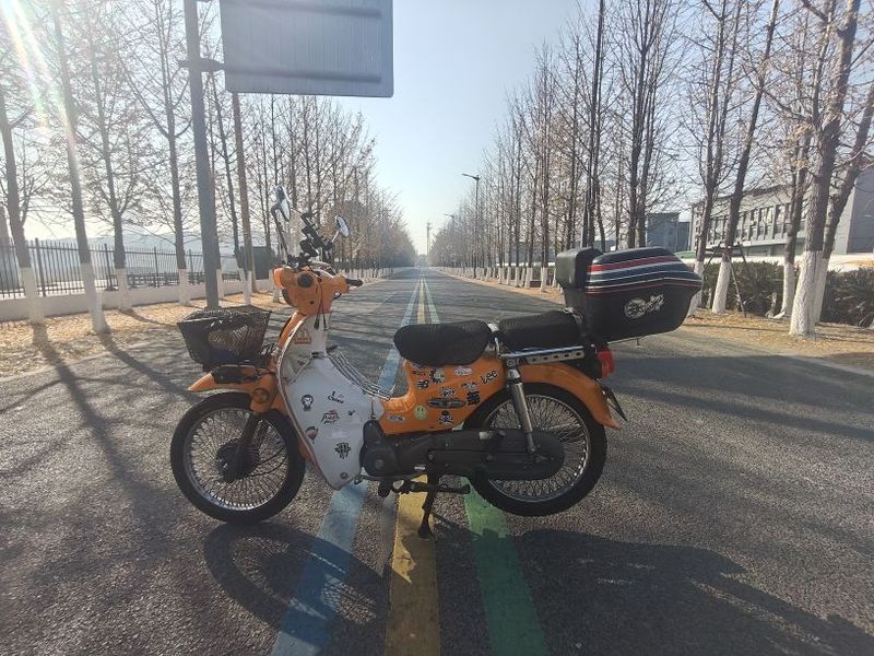 二手洛嘉后浪