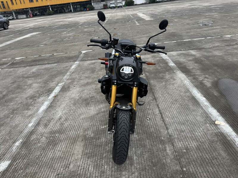 二手印第安FTR 1200