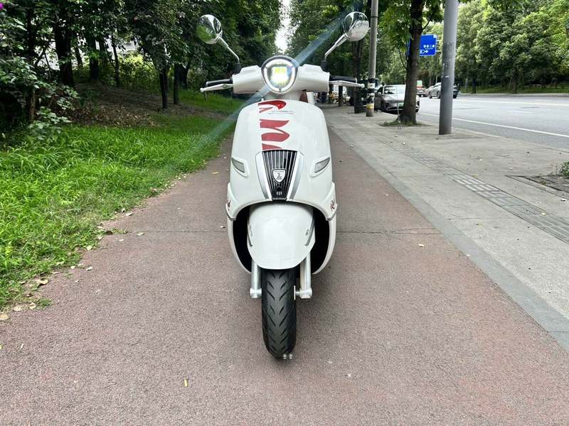 二手五羊欧歌