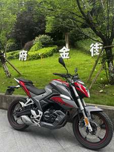 二手隆鑫200R