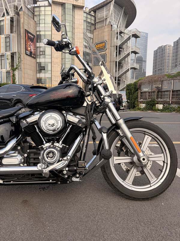二手哈雷戴维森Softail Standard