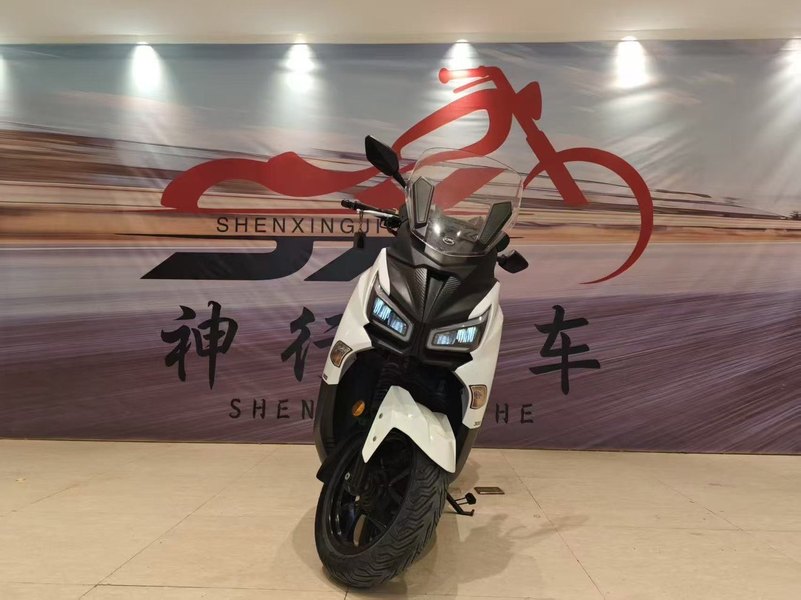 二手三阳Joymax Z 300