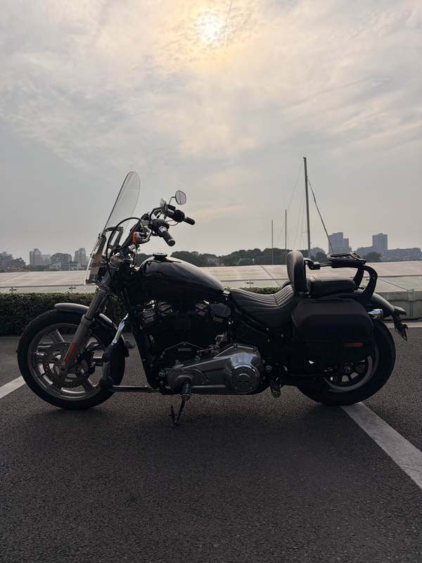 二手哈雷戴维森Softail Standard