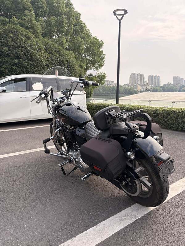 二手哈雷戴维森Softail Standard