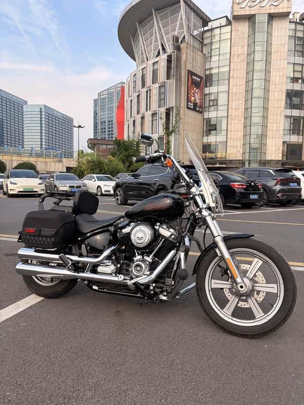 二手哈雷戴维森Softail Standard