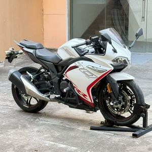二手无极300RR