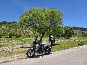 二手本田NX400