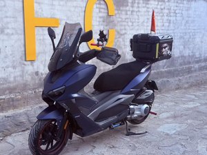 二手龙嘉VMAX ie300