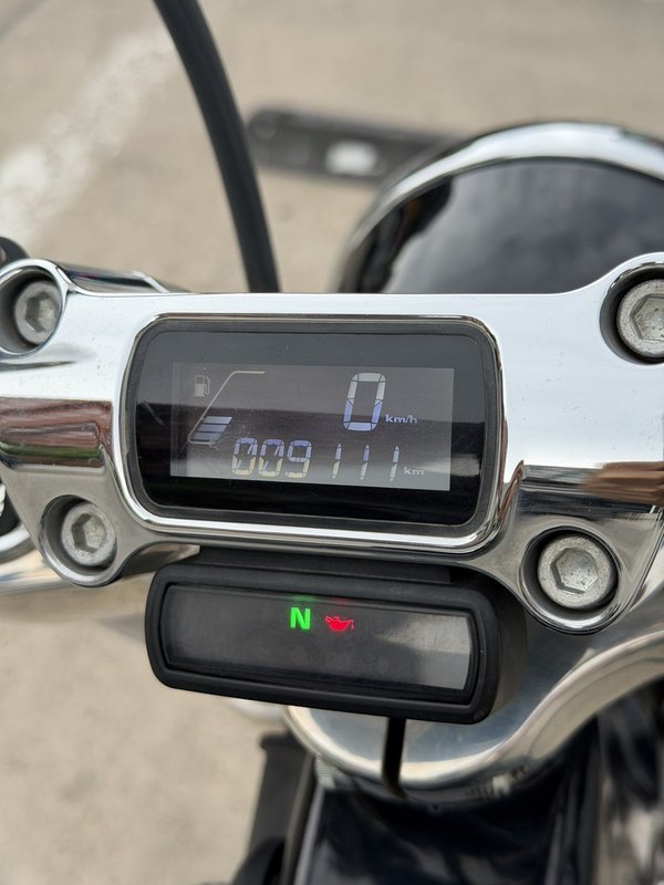 二手哈雷戴维森Softail Standard