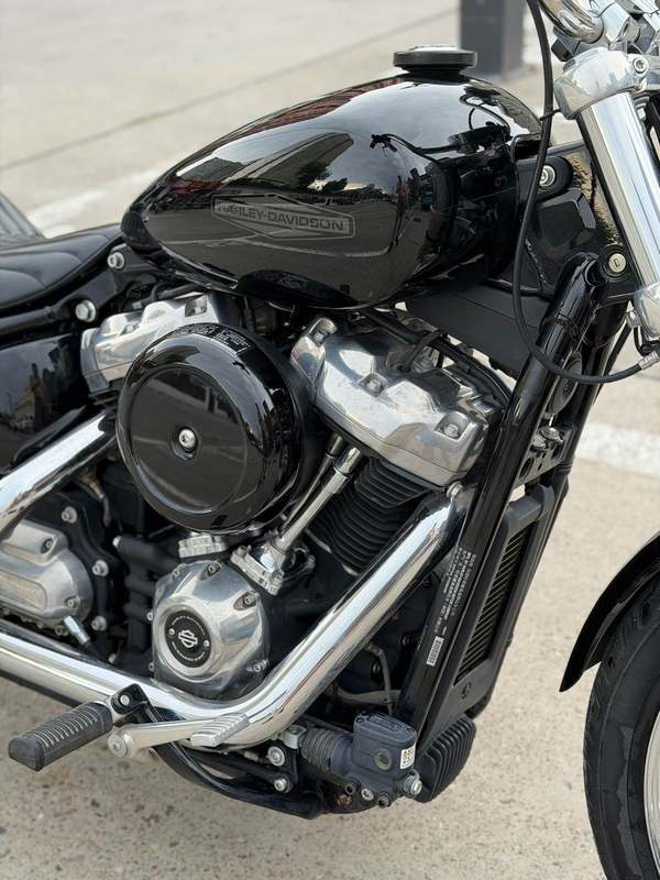 二手哈雷戴维森Softail Standard