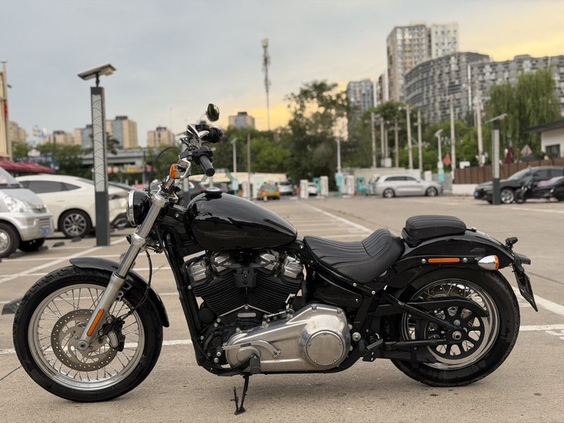 二手哈雷戴维森Softail Standard