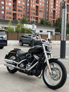二手哈雷戴维森Softail Standard