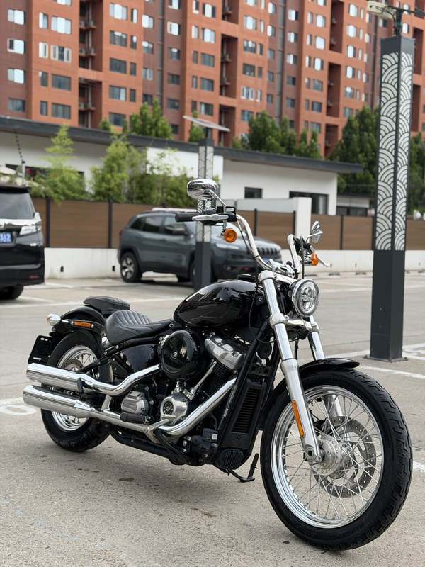 二手哈雷戴维森Softail Standard