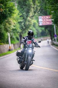 二手贝纳利幼狮 Leoncino 500