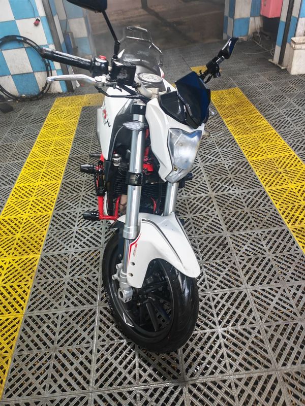 二手贝纳利BN251