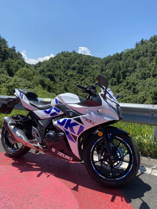 二手豪爵铃木GSX250R