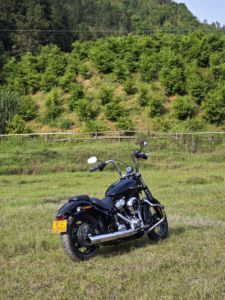 二手哈雷戴维森街霸 Street Bob