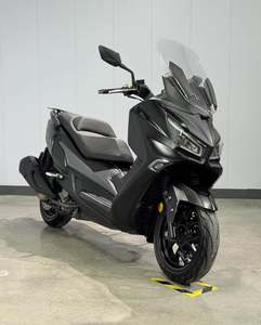 二手三阳Joymax Z 300
