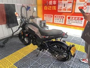 二手贝纳利幼狮 Leoncino 250