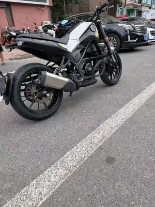 二手贝纳利幼狮 Leoncino 250