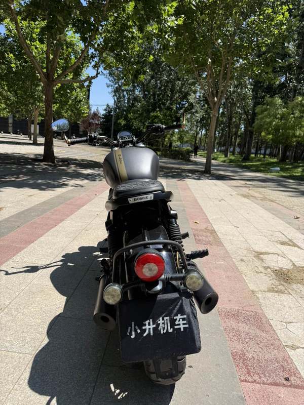 二手长江Bobbie Ⅱ 450S