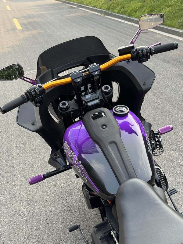 二手哈雷戴维森路威 Low Rider S