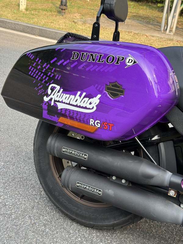 二手哈雷戴维森路威 Low Rider S
