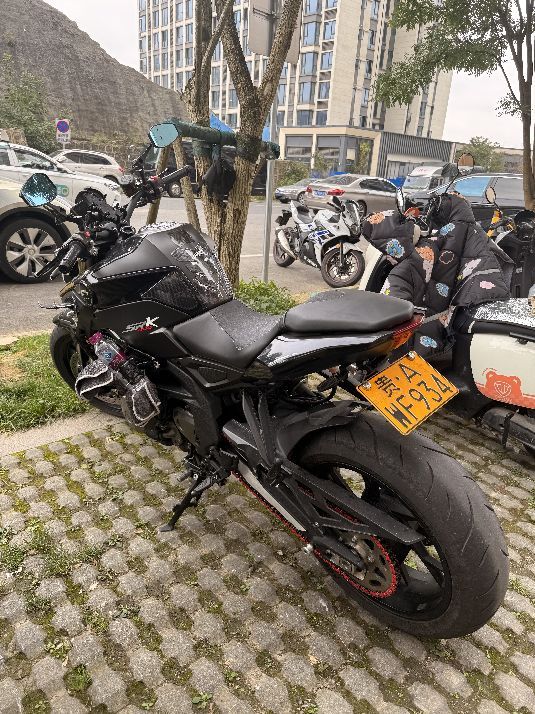 二手QJMOTOR追600