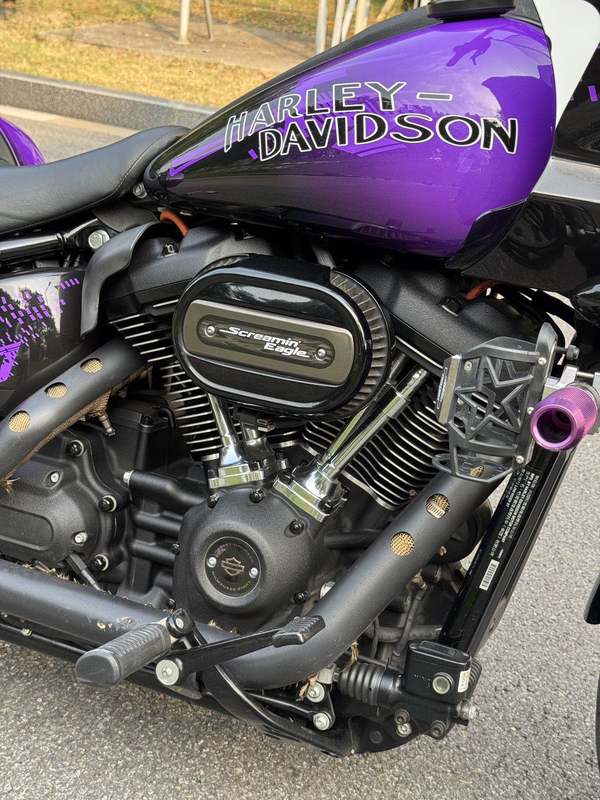 二手哈雷戴维森路威 Low Rider S
