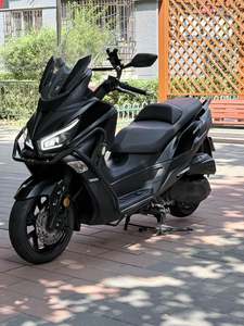二手三阳Joymax Z 300