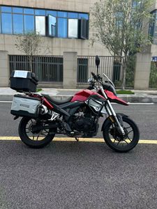 二手赛科龙RX1S