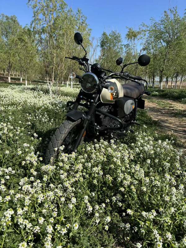 二手建设雅马哈GT150 Fazer