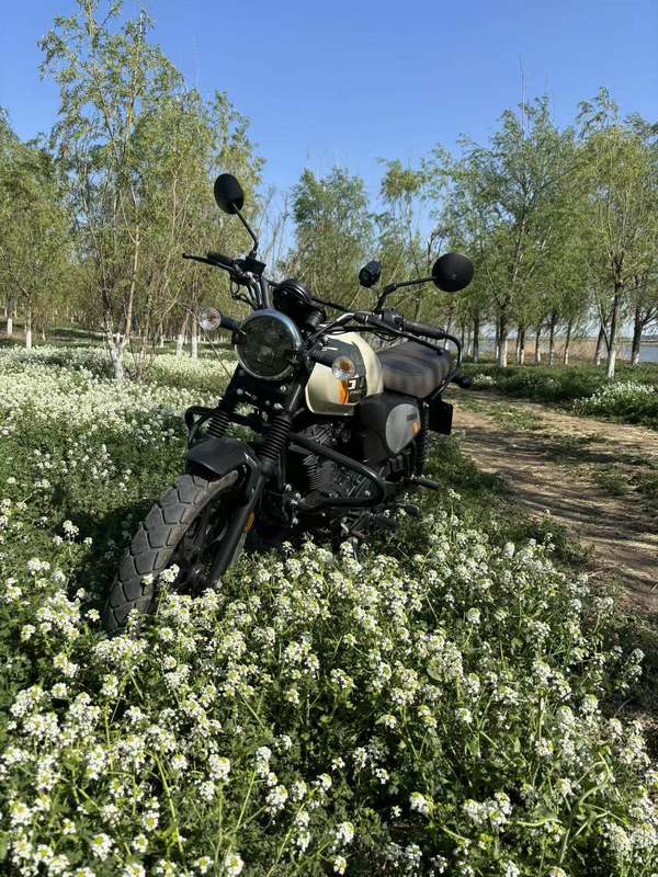 二手建设雅马哈GT150 Fazer