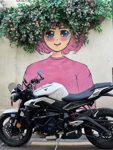 二手凯旋Street Triple 765
