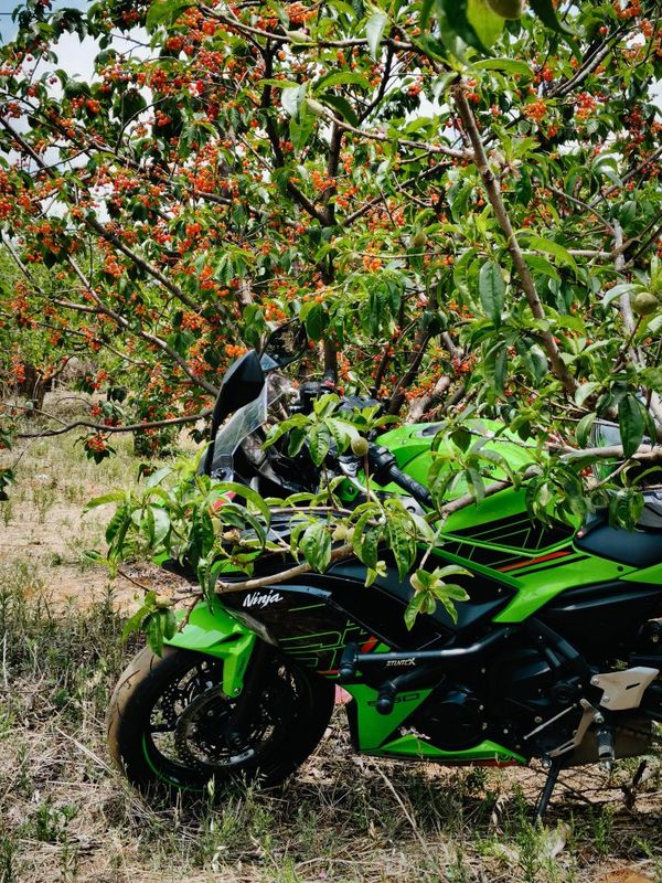 二手川崎Ninja 650 