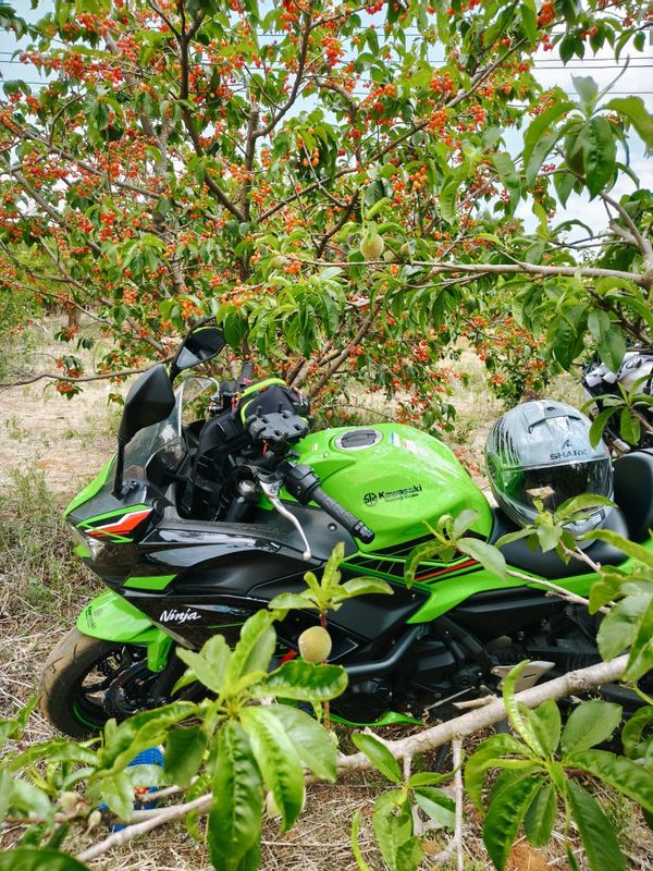 二手川崎Ninja 650 