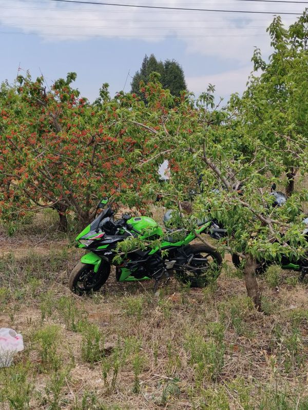 二手川崎Ninja 650 