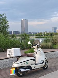 二手南方梦拉丽莎 飞戈