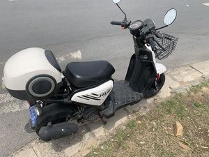 二手王野吉鹿