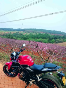 二手本田CB500F