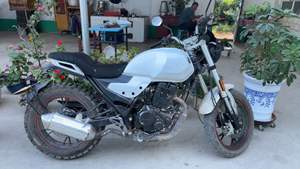 二手鑫源DM250 牧羊人