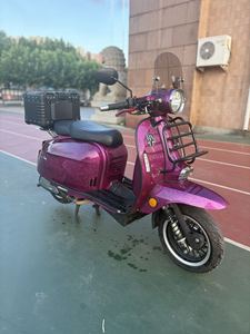 二手ROYAL ALLOYGP200S